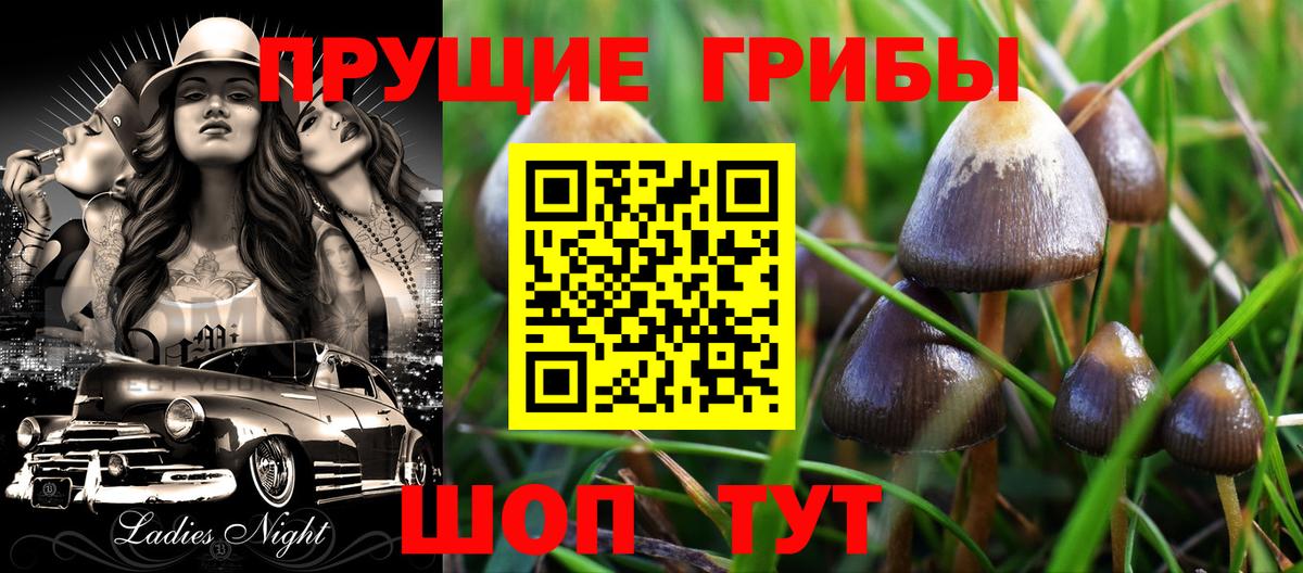 Псилоцибиновые грибы Magic Shrooms  Вход с VPN  Моздок 